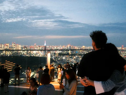 Harajuku bis Shibuya Sky Abendtour, Blick über Tokio bei Nacht