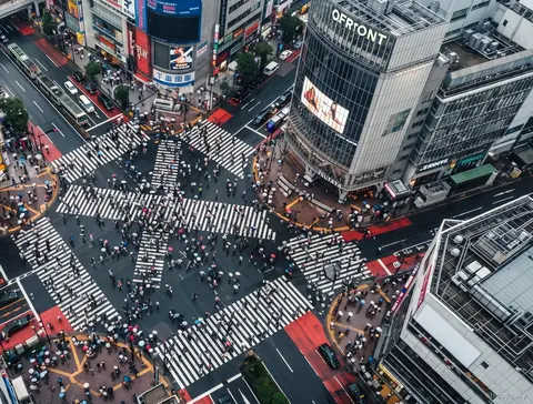 Passeio guiado Shibuya Sky com ingresso, grupo no Scramble Crossing