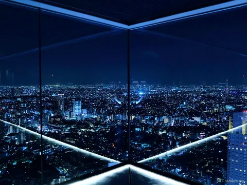 Passeio com ingresso Shibuya Sky de horário marcado, horizonte noturno
