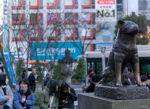 Nocny widok z Shibuya Sky na świecącą w oddali Tokyo Tower