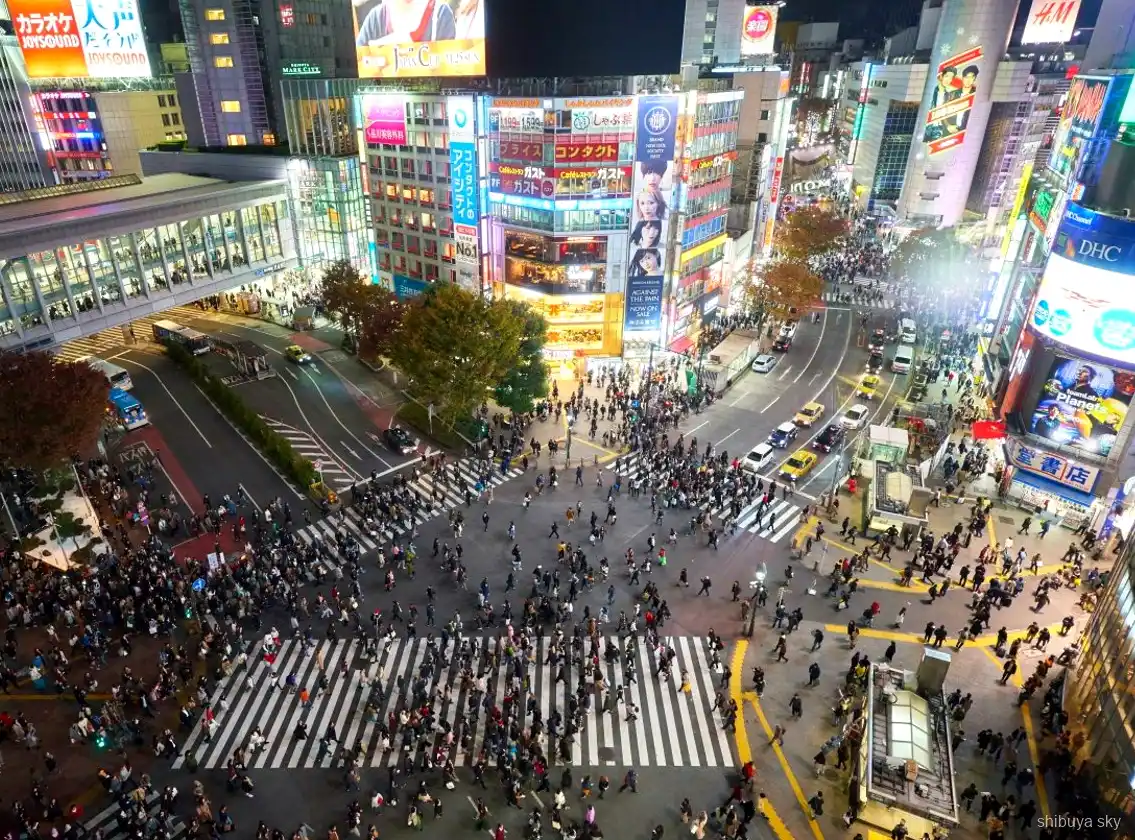 Shibuya Sky gece turu, neon sokaklarda rehber ve ziyaretçiler
