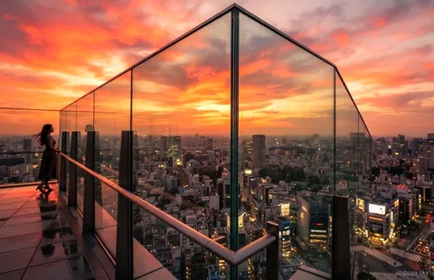Shibuya Sky ticket tour with Meiji Shrine, view over the city