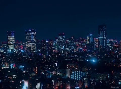 Shibuya Sky Ticket Nightlife Tour, Menschenmenge an der Scramble Crossing