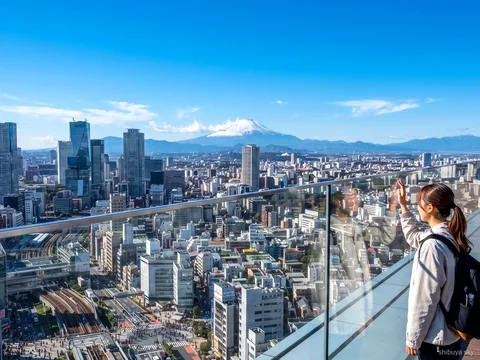 Shibuya Sky ticket tour met Shinjuku Gyoen, uitzicht over Tokio