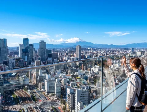 Shibuya Sky Ticket Tour mit Shinjuku Gyoen, Blick über Tokio