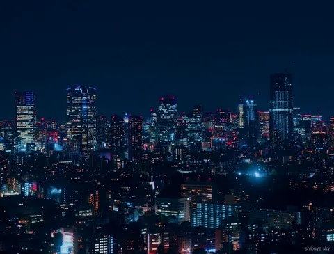 Shibuya Sky ticket nachtleventour, drukte op de Scramble Crossing
