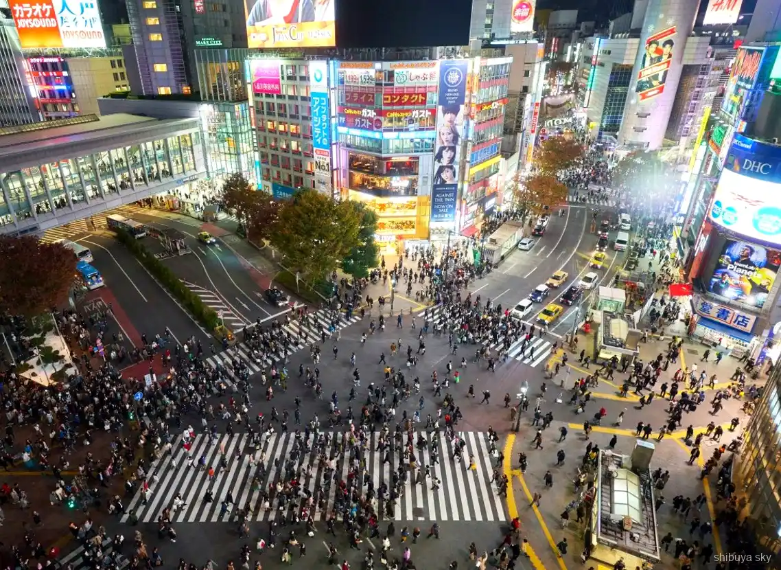 Tour notturno Shibuya Sky, guida e visitatori tra le strade al neon