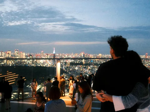 Visite du soir d'Harajuku à Shibuya Sky, vue de nuit sur Tokyo