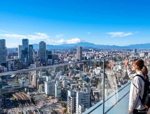 Visite avec billet Shibuya Sky et Shinjuku Gyoen, vue sur Tokyo