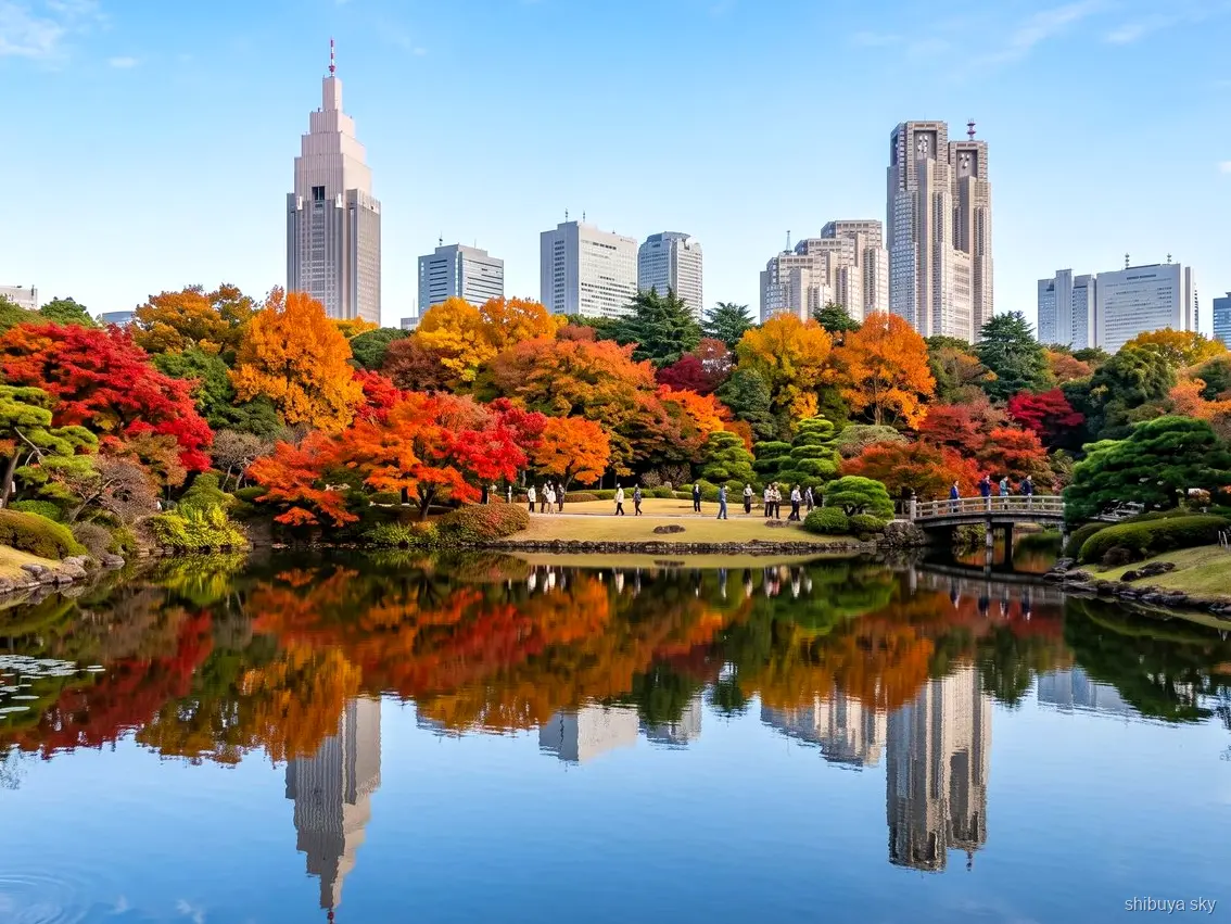 Visite Shibuya Sky et Shinjuku Gyoen, étang du jardin